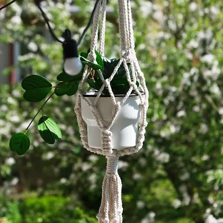 Διαμέρισμα Zakatek Rodzinny